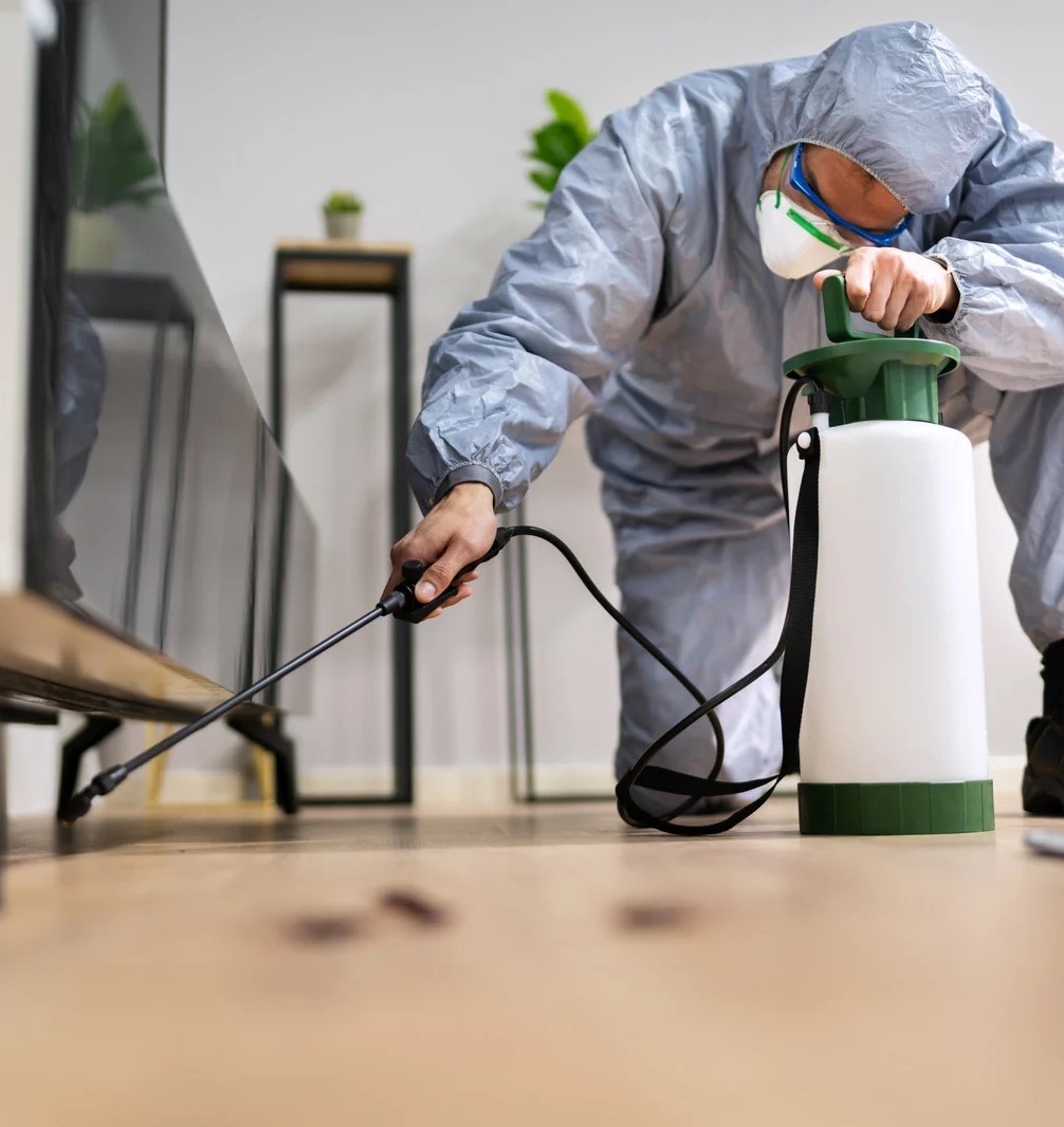 عن اور سيرفس الالمانية